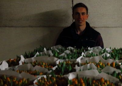 Tulpen van Mr Tulip